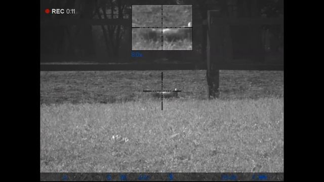 Ночной цифровой прицел Pulsar Digisight Ultra N455 LRF смотреть онлайн