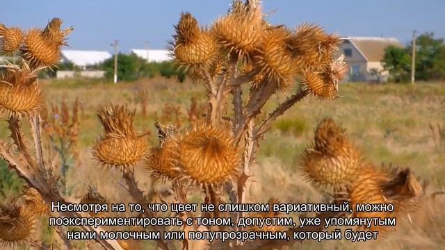 Красный или нюд? Оттенки лака, которые чаще всего привлекают мужчин смотреть онлайн