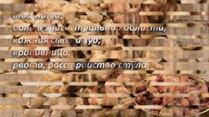 Что делает арахис с организмом человека? Это нужно знать! АРАХИС – польза и вред.