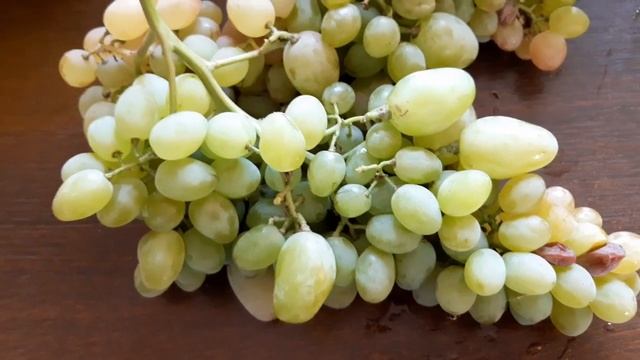 "Кишмиш" Подарок Запорожью ? смотреть онлайн