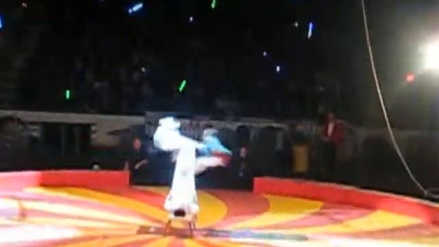 Shrine circus-3 смотреть онлайн