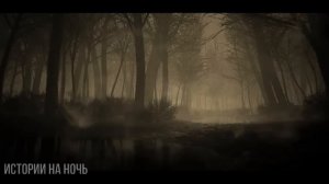 Я работаю Охранником и Обязан Соблюдать очень Странные Правила.  Истории на ночь. Мистика.