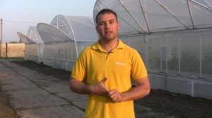 КАК КОРМИТЬ ТОМАТ -  во время налива и созревания!! Агро Движ рекомендует))
