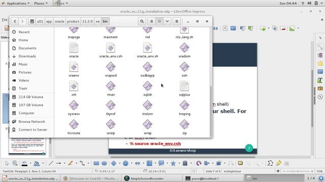 How to set Environment Variables in Oracle Database XE 11g in Linux? смотреть онлайн