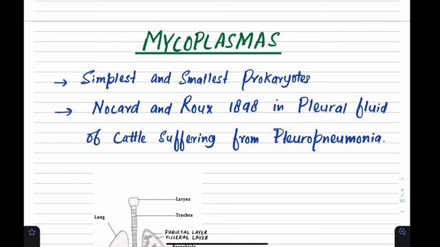 ACTINOMYCETES & MYCOPLASMA (Best video lectures on YouTube for NEET) смотреть онлайн