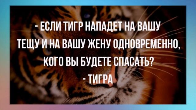 Опытный начальник по звуку клавиатуры может определить, ВО ЧТО ИГРАЕТ ЕГО ПОДЧИНЁННЫЙ. Юмор для Вас смотреть онлайн
