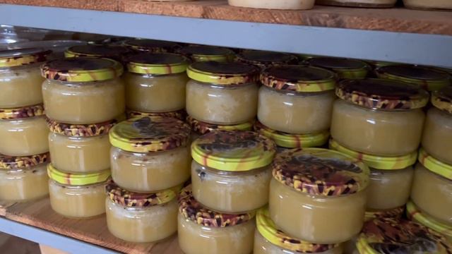 ПЧЕЛИНОЕ ГНЕЗДО И ВОСКОВЫЕ ПОСТРОЙКИ ПЧЁЛ. смотреть онлайн