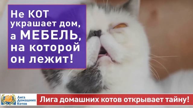 Мебельный центр Уют - Хорошее место где очень много по настоящему хорошей мебели смотреть онлайн