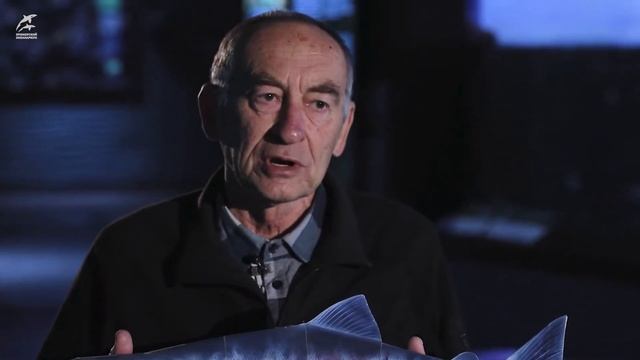 ИНТЕРЕСНЫЕ ИСТОРИИ О НАУКЕ. ВЫПУСК 5. "Как рыбы в воде?" смотреть онлайн