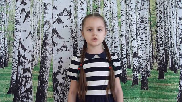Лыско Валерия, 6 лет, д с Ромашка смотреть онлайн