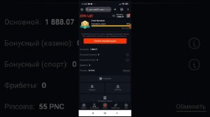 Турнир пин ап pin up как обманут