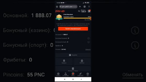 Турнир пин ап pin up как обманут