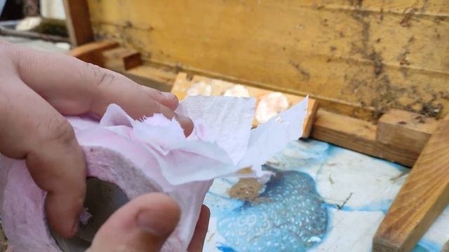 МР 512 мощность и пробивная сила витая пружина против газовой видео смотреть онлайн