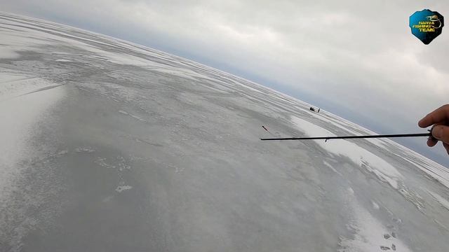 Зимняя рыбалка на Чудском озере в марте с Panoptix Livescope.