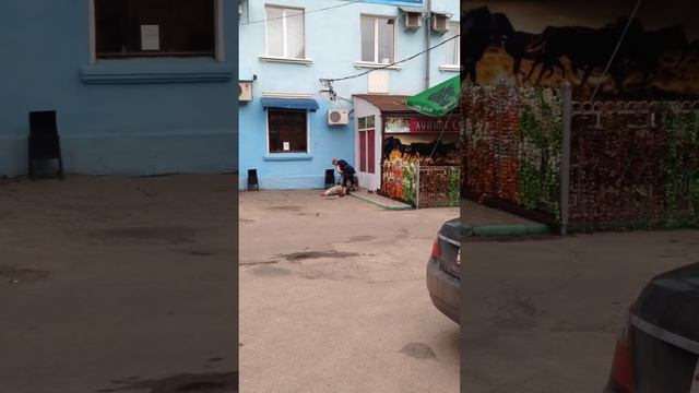 Игры для мобильных устройств