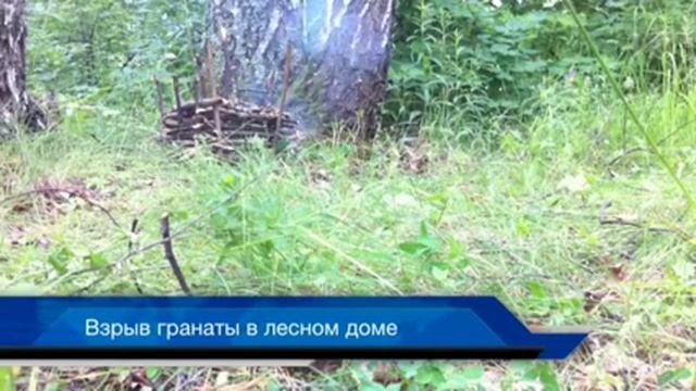 Взрыв гранаты в лесном доме смотреть онлайн