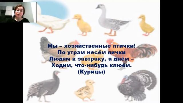 Ознакомление с окружающим миром смотреть онлайн