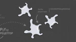 Как работает Тикагрелор?