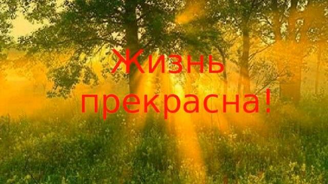 Жизнь удивительна. смотреть онлайн