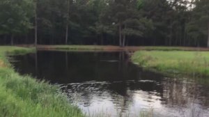 Рыбалка с дроном - как он поможет? ВСЕ способы использования квадрокоптера для рыбаков, нужен ли он