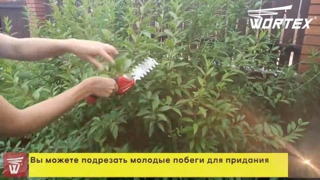 WORTEX SG 7215 DeloMastera.by смотреть онлайн