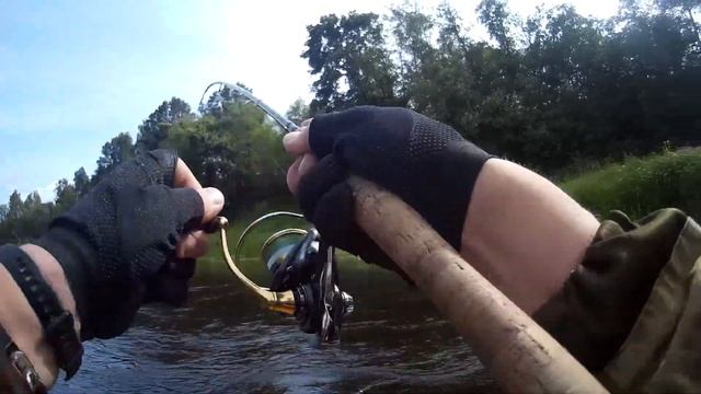 ДИКИЙ КЛЁВ НА КРАСИВОЙ РЕКЕ ? КЛЮЁТ ОДНА ЗА ОДНОЙ НА СПИННИНГ смотреть онлайн