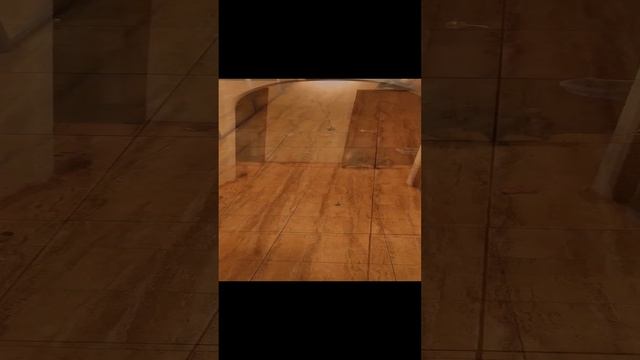 Мячик - попрыгунчик и Буся!