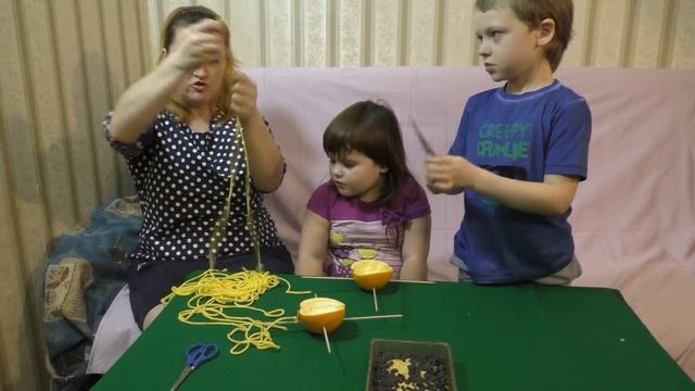 Мастер-Класс! Делаем кормушку из Апельсиновых корок. Часть1/Master-Klass. Bird feeders смотреть онлайн