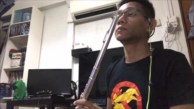 Final Fantasy XV - Walking Chocobo Theme (Flute Cover) смотреть онлайн