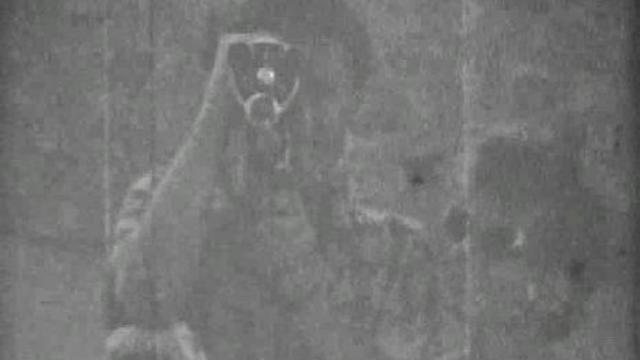 1963, 1964 Витя Гольдфарб смотреть онлайн