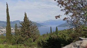 Декларация Суверенитета. Текст Katia.Txi (Катя Чи)