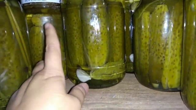 Домашний Влог: Кормлю Детей, Цыплят, Пчёл и Поросят/ Жизнь в Деревне смотреть онлайн