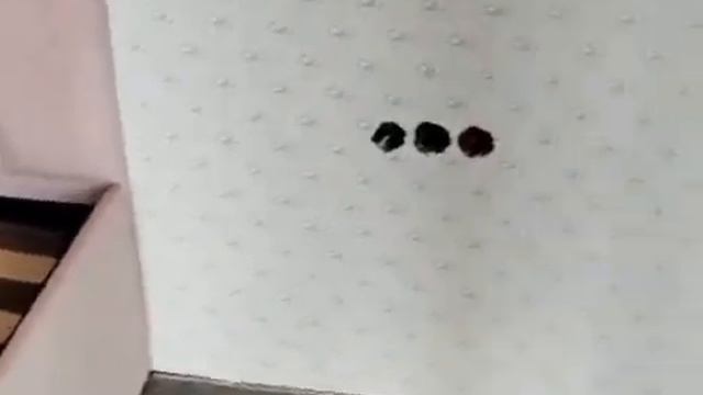 Фабрика мебели KANA - Детская кровать смотреть онлайн