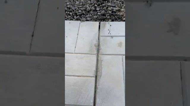 укладка садовых дорожек и заделка швов простои́ и легкии способ