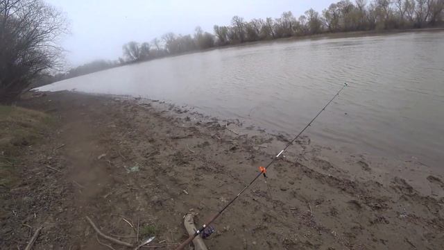 рыбалка на кубани рыбалка 2020 рыбалка на реке кубань рыбалка в краснодарском крае рыбалка на карпа смотреть онлайн