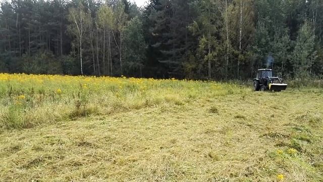 Косим траву трактором БЕЛАРУС МТЗ 82.1 смотреть онлайн