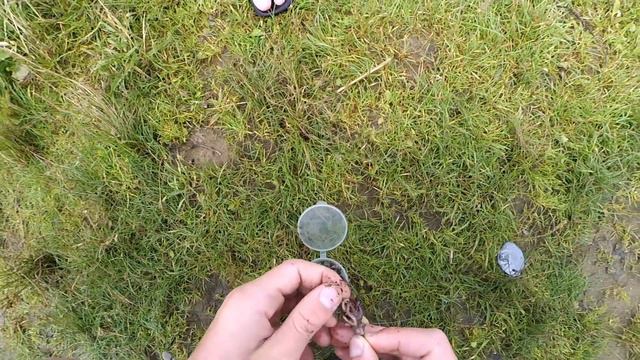 Экстримальная рыбалка на сома смотреть онлайн