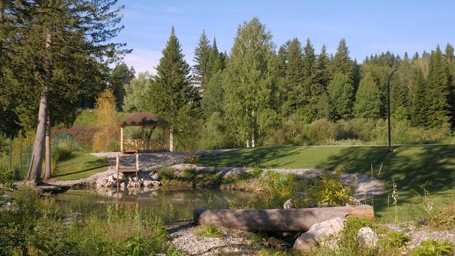 Еловый ручей виды 2020