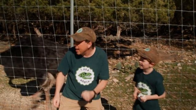 КОШКА ПО ИМЕНИ БОБ | Ти-рексы - Динозавры для детей смотреть онлайн