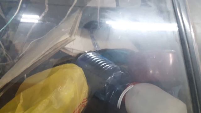 ЖЕСТЬ на СТО!!! смотреть онлайн