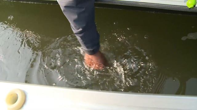 Д.Шабалин ловит на Оби. Мини-интервью о Обской зарубе и Сибирских рыболовах смотреть онлайн