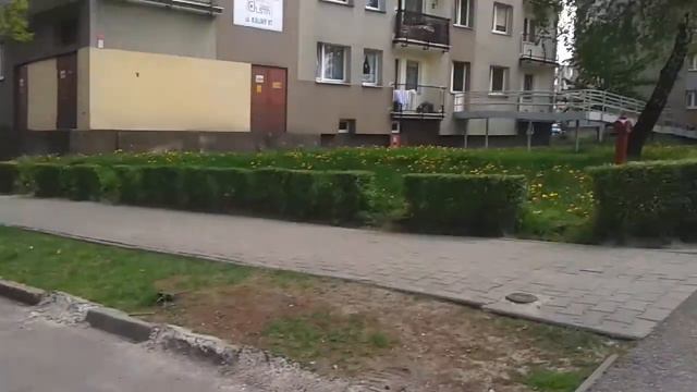 Adam nie wierzy że jest na yt (jesteśmy na dworze) смотреть онлайн