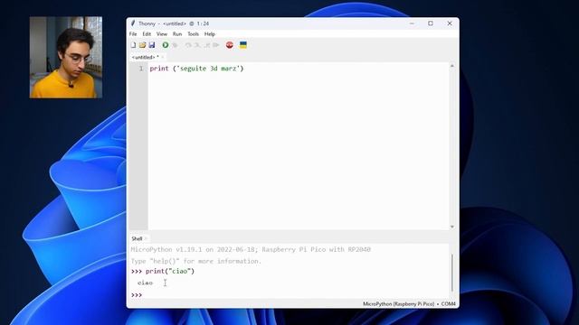 Come programmare Raspberry Pi Pico con MicroPhyton e Thonny IDE - Primi passi con Raspberry Pi Pico смотреть онлайн