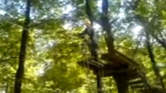 Панда парк в СОКОЛЬНИКАХ