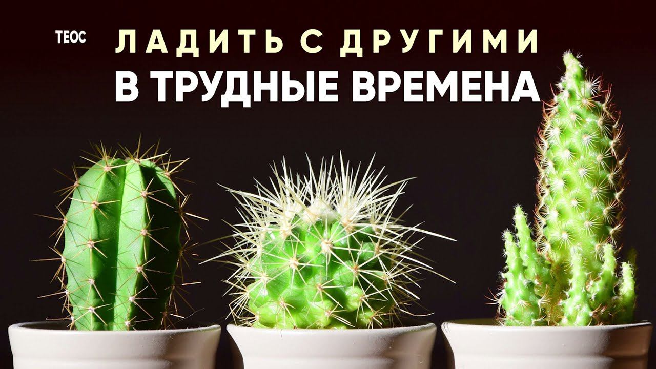 Единственный способ ладить с другими в трудные времена смотреть онлайн