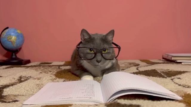kotiynet RYTP Лотков в поисках Лоткова смотреть онлайн