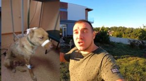 Девочка нашла ИЗБИТУЮ Собаку БЕЗ УШЕЙ на Мусорке