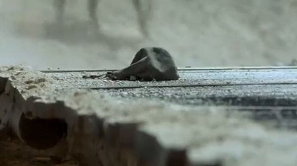 Долина цветов / Valley of Flowers (2006)