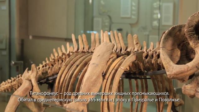 Зверообразные ящеры