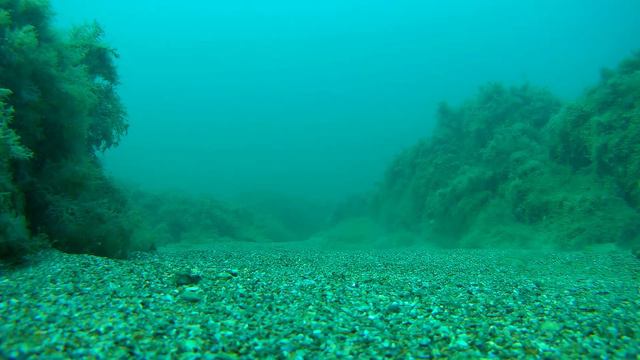 Черное море. Август. смотреть онлайн